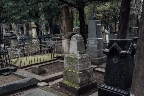 Seven Historical Deaths Too Strange to Invent