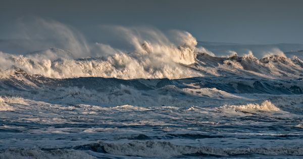 What the Sailors Said They Saw: A Short History of the Sea Monster